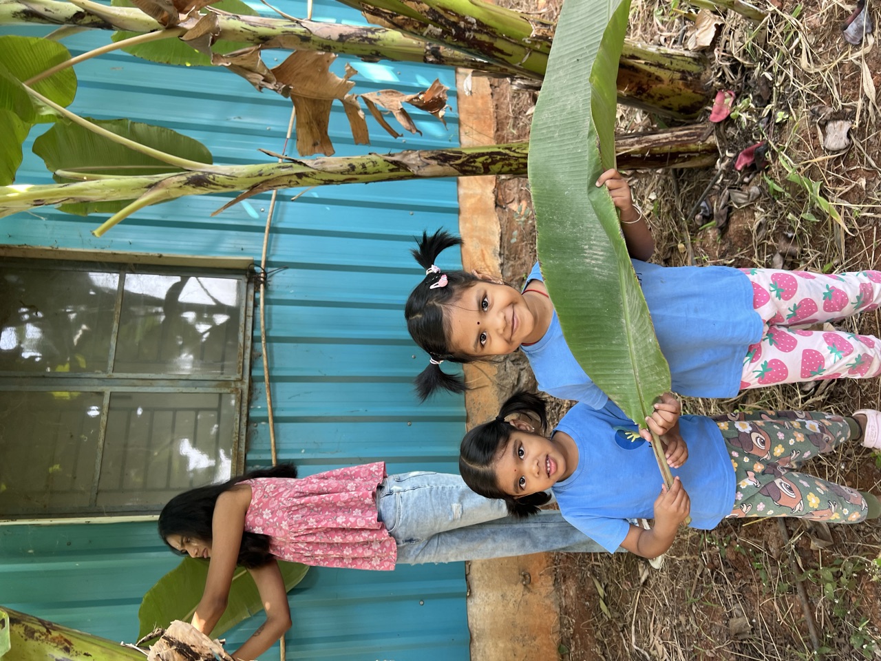 Two children holding big banana leaves they gathered in the garden