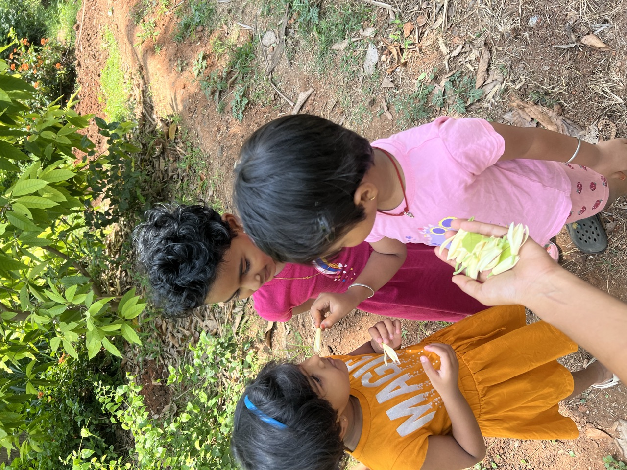 Young children examining leaves and flowers together on a nature walk